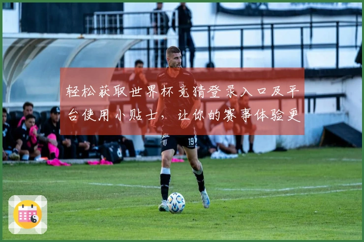 轻松获取世界杯竞猜登录入口及平台使用小贴士，让你的赛事体验更出色！