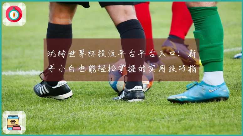 玩转世界杯投注平台平台入口：新手小白也能轻松掌握的实用技巧指南