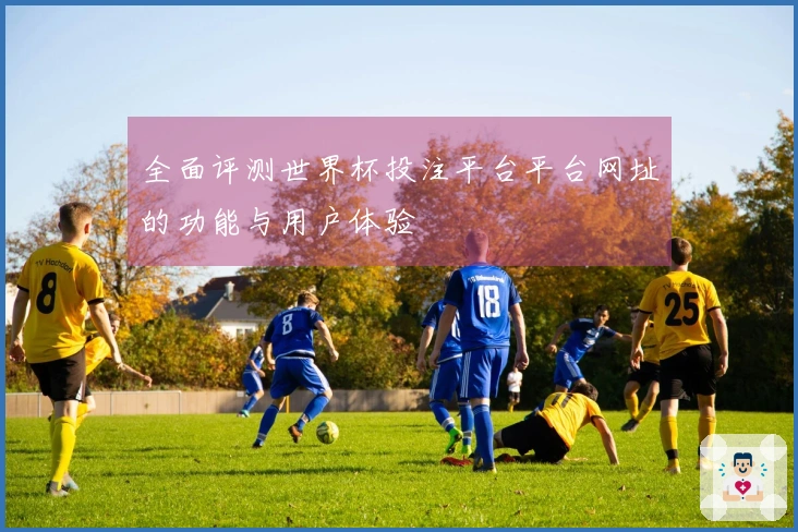 全面评测世界杯投注平台平台网址的功能与用户体验