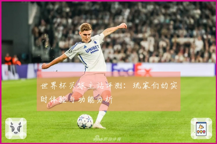 世界杯买球主站评测：玩家们的实时体验与功能分析