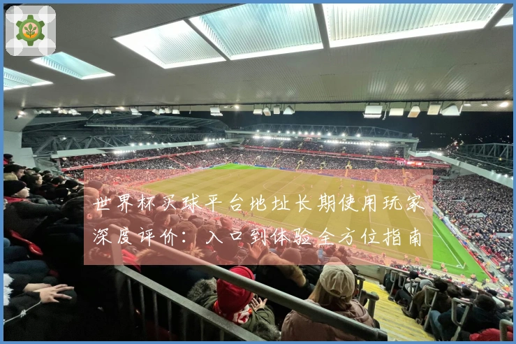 世界杯买球平台地址长期使用玩家深度评价：入口到体验全方位指南