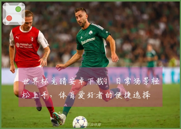 世界杯竞猜安卓下载：日常场景轻松上手，体育爱好者的便捷选择