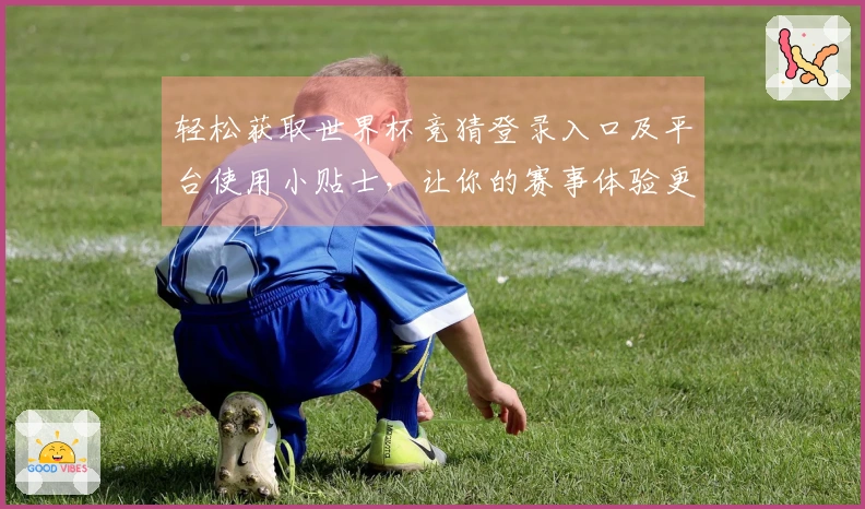 轻松获取世界杯竞猜登录入口及平台使用小贴士，让你的赛事体验更出色！