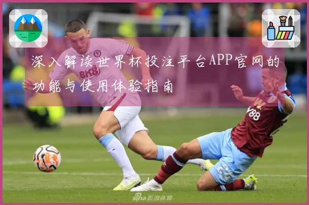 深入解读世界杯投注平台APP官网的功能与使用体验指南