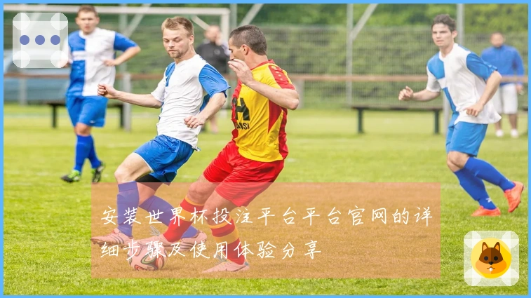 安装世界杯投注平台平台官网的详细步骤及使用体验分享