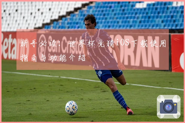 新手必读：世界杯竞猜iOS下载使用指南与功能介绍