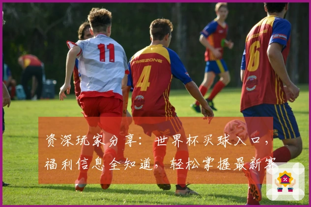 资深玩家分享：世界杯买球入口，福利信息全知道，轻松掌握最新赛事动态