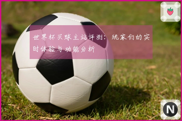世界杯买球主站评测：玩家们的实时体验与功能分析