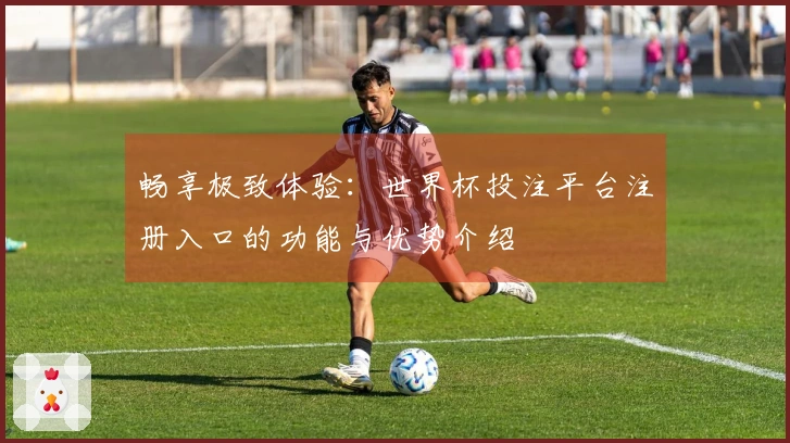 畅享极致体验：世界杯投注平台注册入口的功能与优势介绍